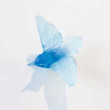 LJ: Tomtit/Kōmiromiro - assorted colours - please enquire