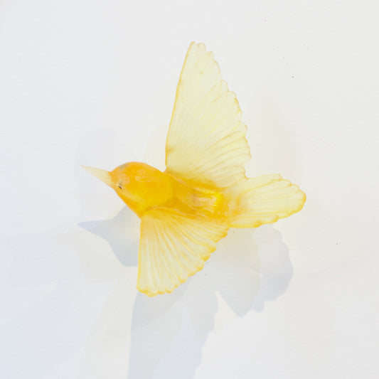 LJ: Tomtit/Miromiro - yellow