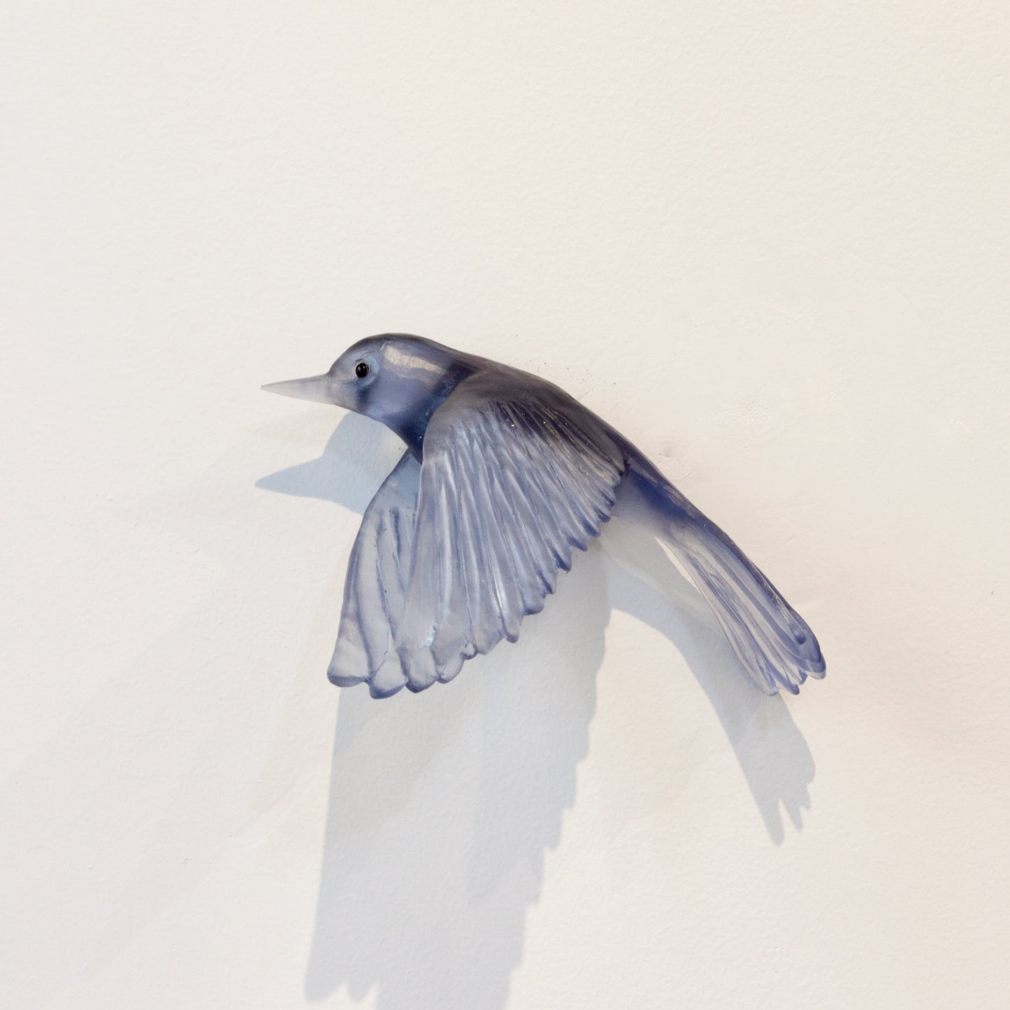 LJ938Q: Whitehead/Pōpokotea - steel blue