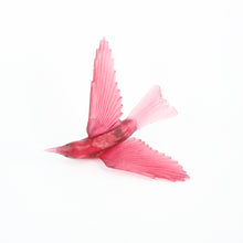 LJ: Bellbird/Korimako - assorted colours