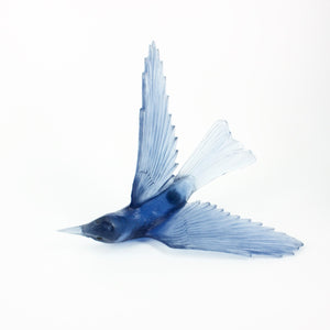 LJ: Bellbird/Korimako - assorted colours