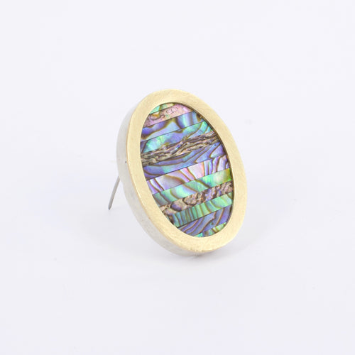 DM88A: Paua sampler brooch