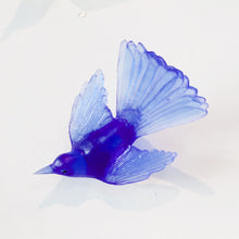 LJ: Fantail/Pīwakawaka- assorted colours
