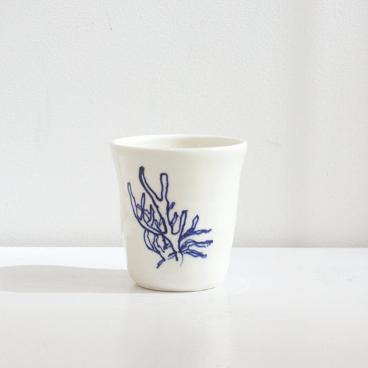 JLA: Tumblers - Marine biodiversity series