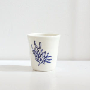 JLA: Tumblers - Marine biodiversity series