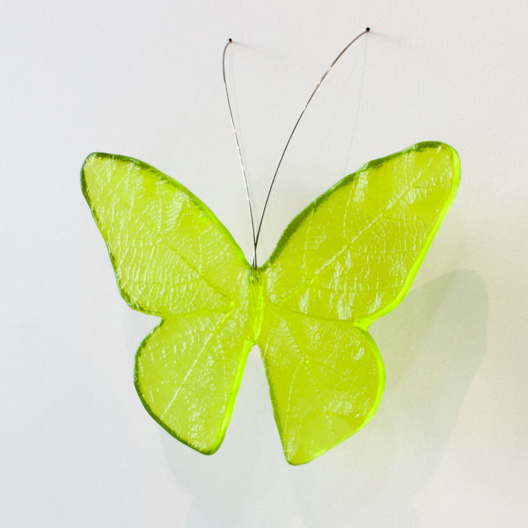 LJ: Monarch butterfly - assorted colours, please enquire