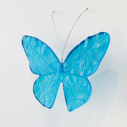 LJ: Monarch butterfly - assorted colours, please enquire