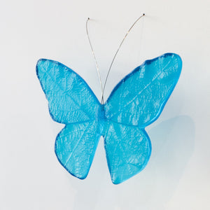 LJ: Monarch butterfly - assorted colours, please enquire