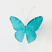 LJ: Monarch butterfly - assorted colours, please enquire