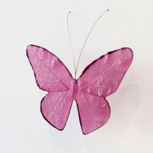LJ: Monarch butterfly - assorted colours, please enquire