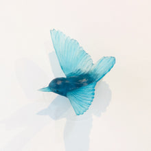 LJ: Tomtit/Kōmiromiro - assorted colours - please enquire