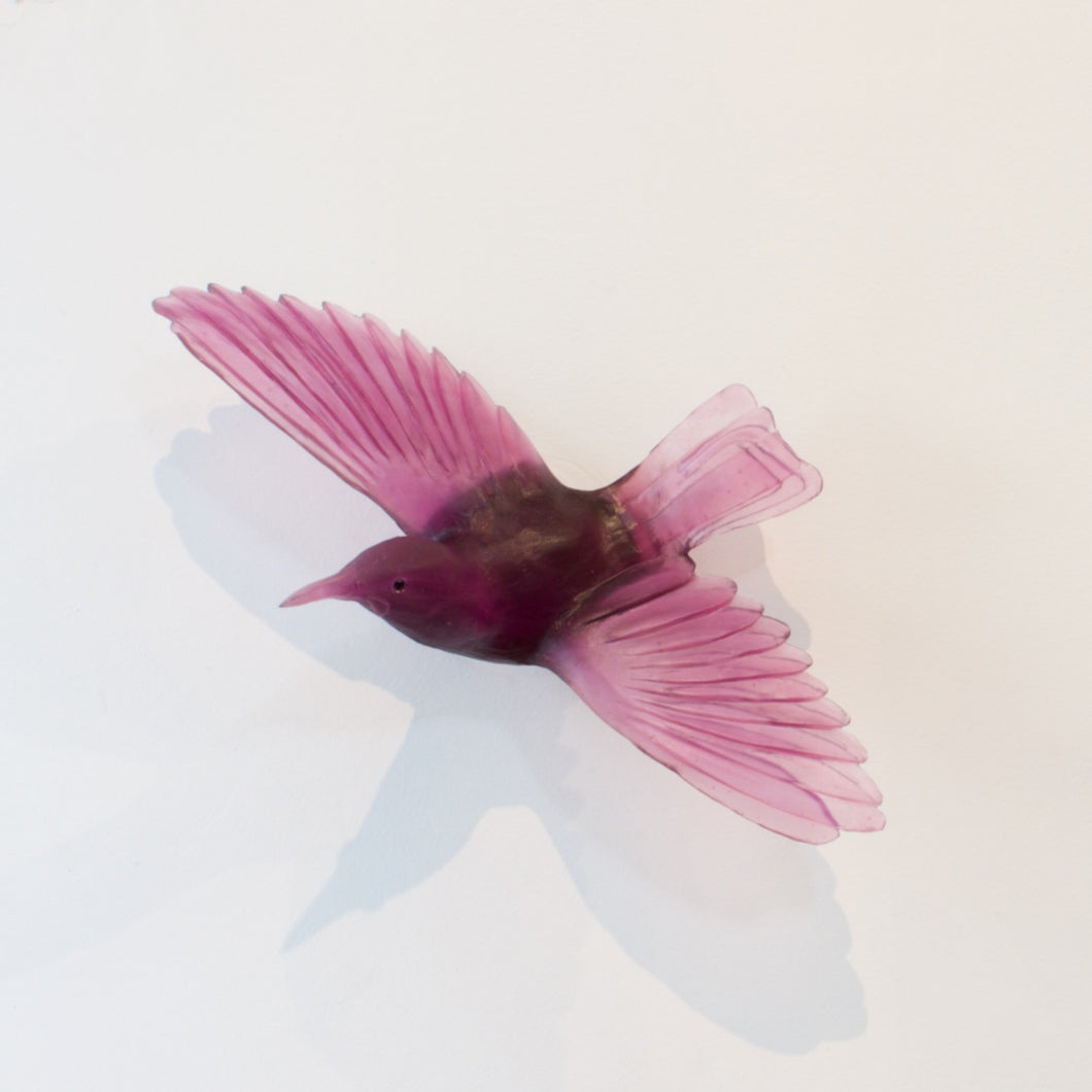 LJ: Saddleback/Tīeke - assorted colours, please enquire