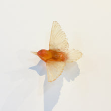 LJ: Tomtit/Kōmiromiro - assorted colours - please enquire