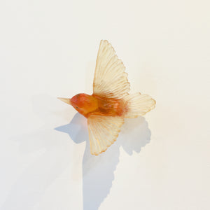 LJ: Tomtit/Kōmiromiro - assorted colours - please enquire