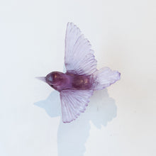 LJ: Tomtit/Kōmiromiro - assorted colours - please enquire