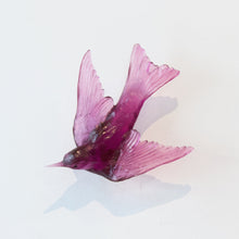 LJ: Welcome swallow/Warou - assorted colours