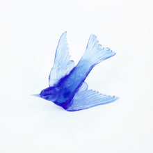LJ: Welcome swallow/Warou - assorted colours