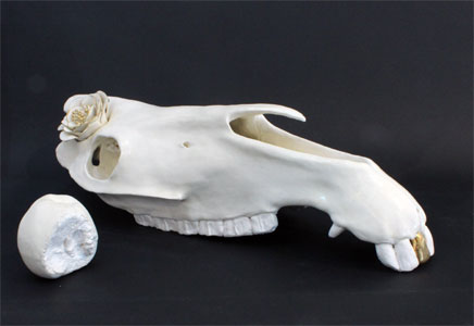 NML124: Memento mori horse skull