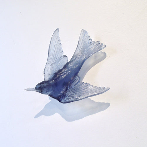 LJ: Welcome swallow/Warou - assorted colours